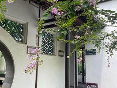 -上海醉白池公园
