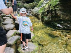 -牛背梁国家森林公园