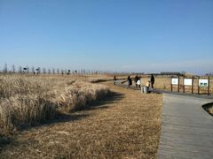 -东平国家森林公园