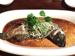-桃源春晓中餐厅 TaoYuan Restaurant