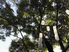 -醉云喃