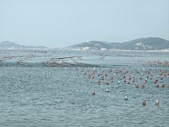 -长岛大黑山岛