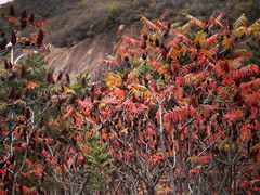 -山西乌金山旅游区