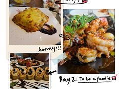 -百好乐宠物友好餐厅(朝外大街店)