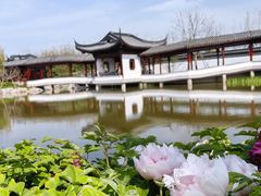 -上海滨江森林公园