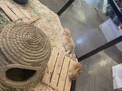 -宠物世家(仲盛世界商城店)