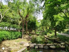 -陈家山荷花公园