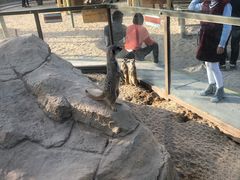 -广州融创文旅城