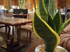 -东莞喜来登酒店-御园西餐厅·海鲜自助餐·意大利菜零点