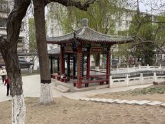 -桃花堤公园
