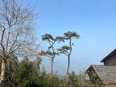 -莫干山风景区