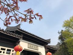 -龙寺生态园