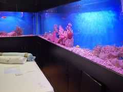 -避尘 Bsense·SPA(新会展总店)