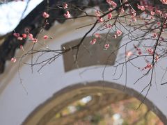 -峙山公园