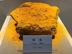 -大连自然博物馆
