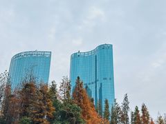 -艾溪湖湿地公园