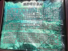 -遥桥古堡