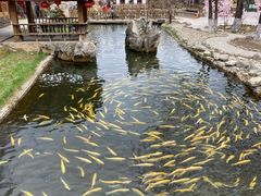 -观音阁水库风景区