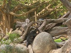 -广州长隆野生动物世界