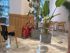 -Blueglass酸奶(财富购物中心店)