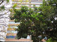 -香港理工大学