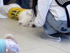 -怪兽屋·羊驼·猫咖·狗咖(俊华广场店)