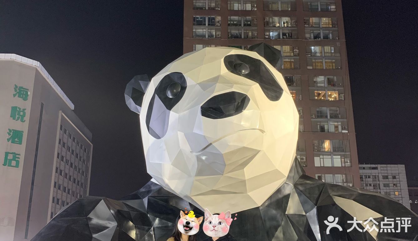 外地土狗打卡网红熊猫pp