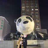 外地土狗打卡网红熊猫pp