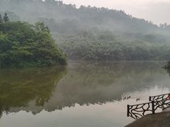 -滴水岩森林公园