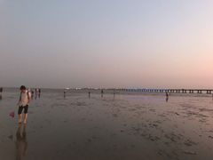 -南汇嘴观海公园