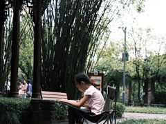 -望江楼公园