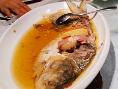 清蒸鲥鱼-金米箩大酒店(五角场店)
