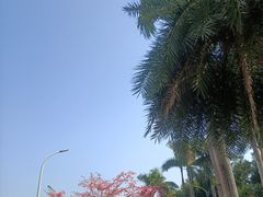 -深圳湾公园(南山区)