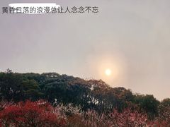 -无锡梅园公园