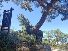 -金龙寺国家森林公园