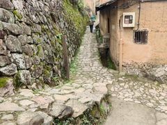 -杨家堂村