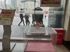 -中国工商银行(重庆巴南支行营业部)