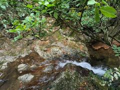 -天目山-昭明禅寺