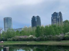 -群力丁香公园