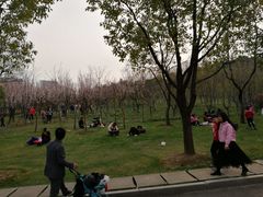 -尚贤河湿地