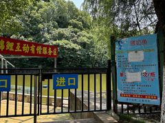 -合肥野生动物园