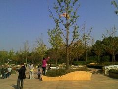 -新江湾城公园