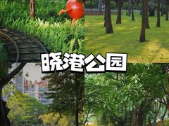 -晓港公园
