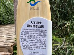 -成都市活水公园