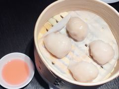 -MR鹅外