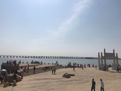 -宝安西湾红树林湿地公园