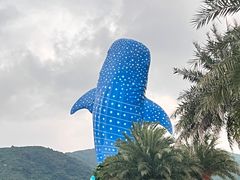 -珠海长隆海洋王国