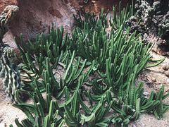 -华南国家植物园-售票处