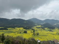 -牛街螺丝田