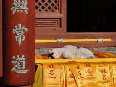 -老乡鸡(融科天地店)